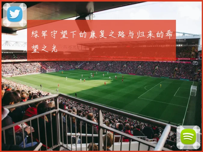 绿军守望下的康复之路与归来的希望之光