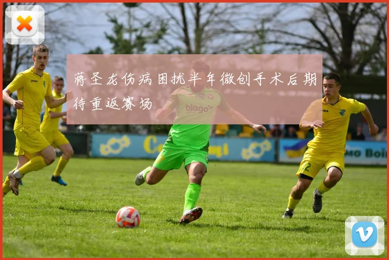 蒋圣龙伤病困扰半年微创手术后期待重返赛场