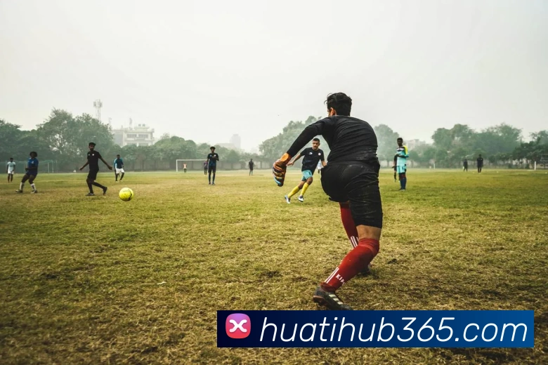 华体会体育APP 封面图